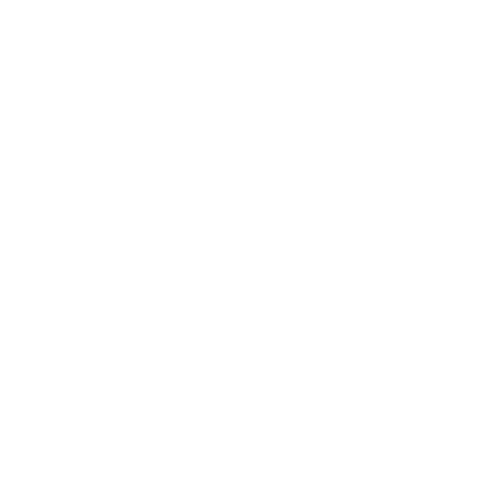 ZVN Logo